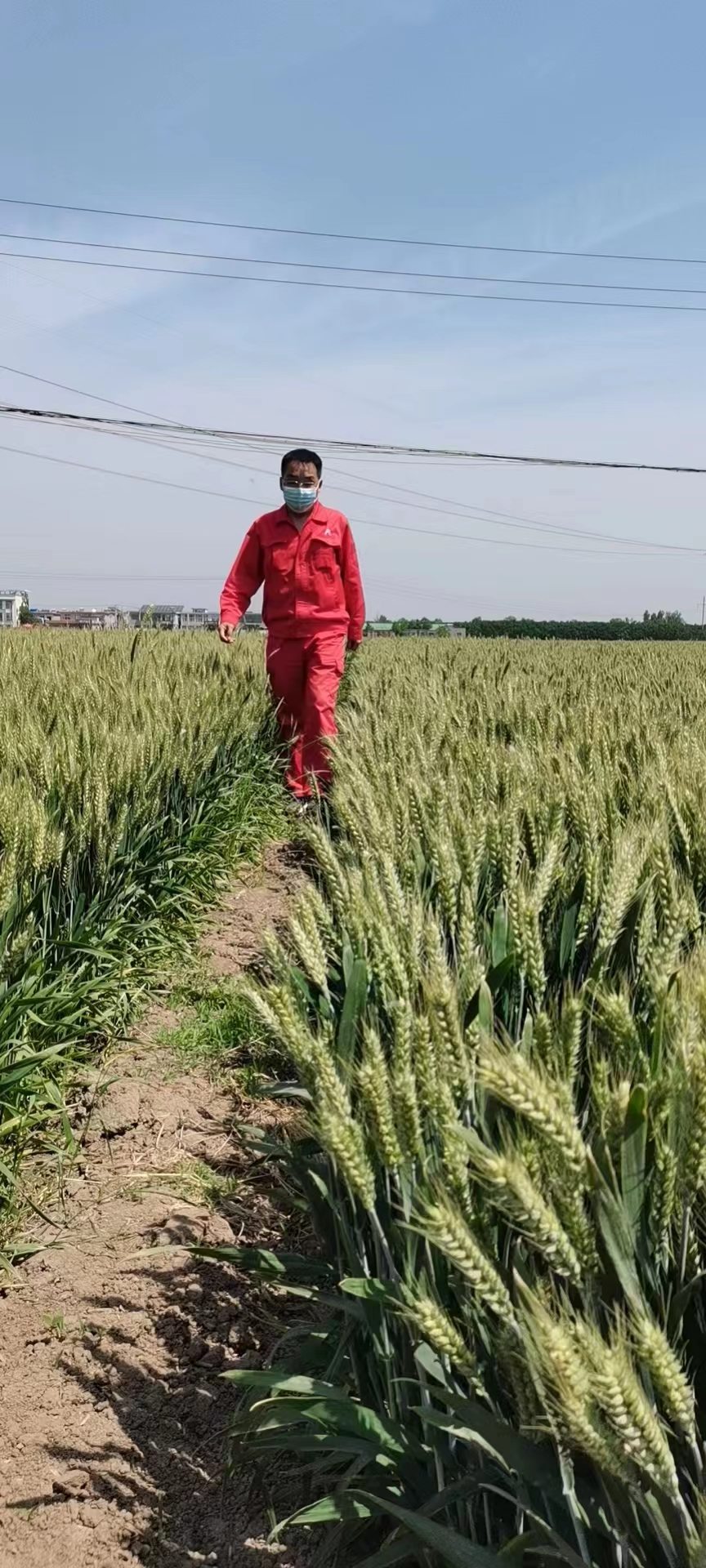 用心守護(hù)管道安全，全力保障豫北能源“生命線”——安彩能源開(kāi)展安全檢查百里行主題黨日活動(dòng)